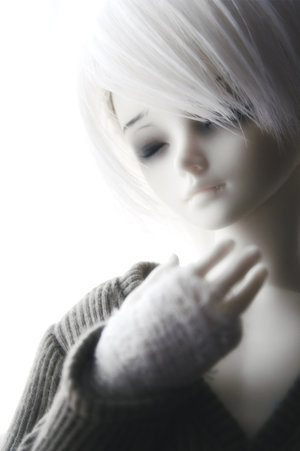61f95503decbcc9227c39b713bfc9734_web.jpg